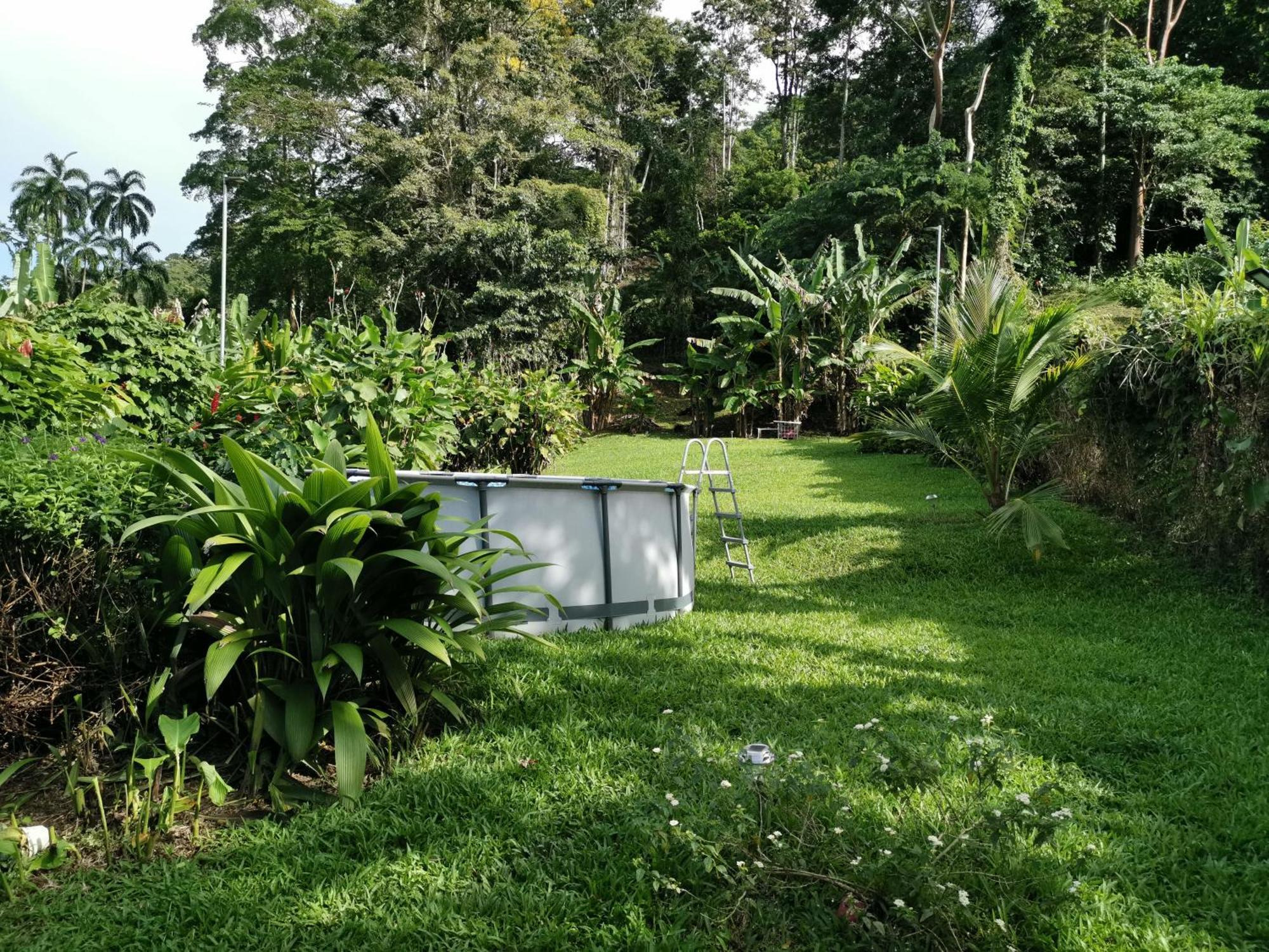 Casa Echavarria San Jose  Bilik gambar