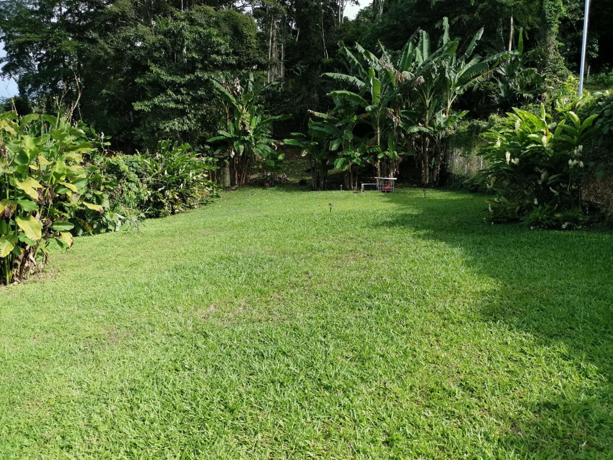 Casa Echavarria San Jose  Bilik gambar